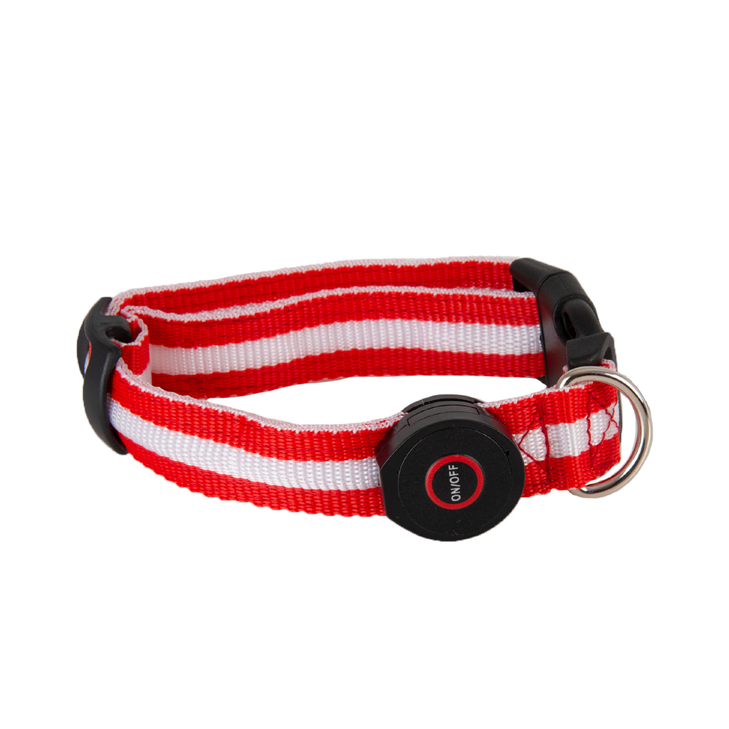 COLLAR C/LUZ LED P/PERRO, MEDIANO