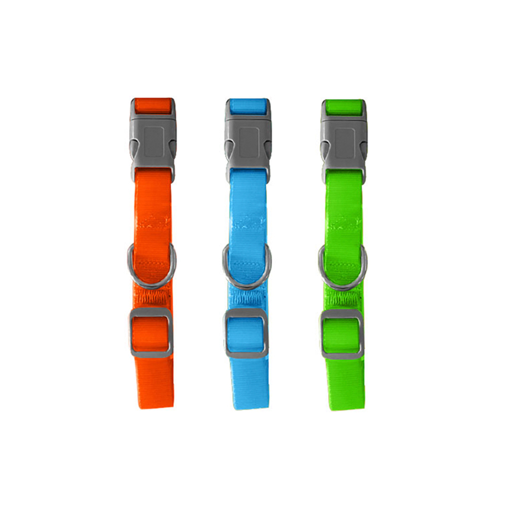 COLLAR NEON PARA PERRO