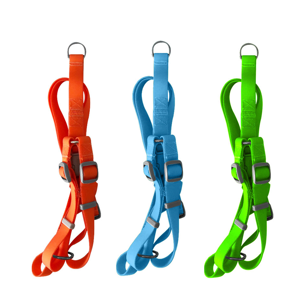 [P5407] ARNES NEON PARA PERRO, MEDIANO