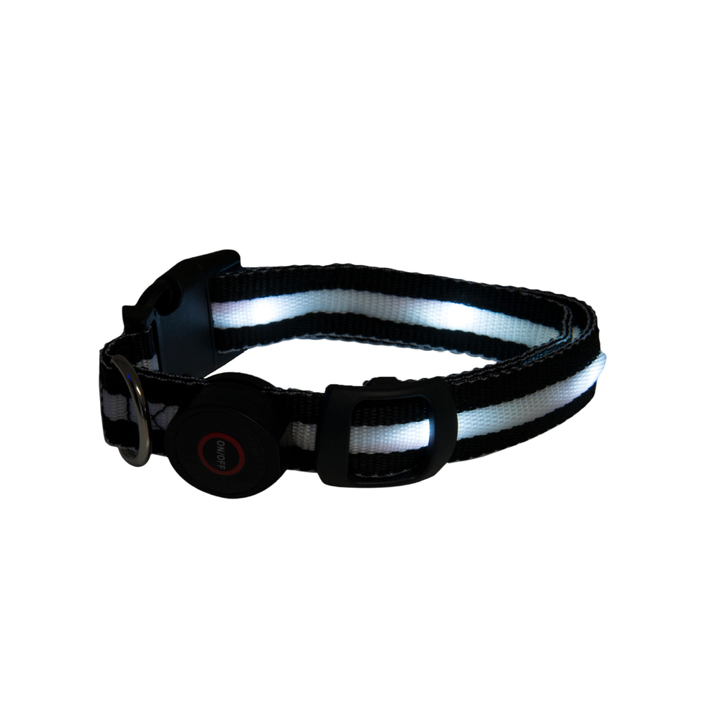 [P8414] COLLAR C/LUZ LED P/PERRO, GRANDE