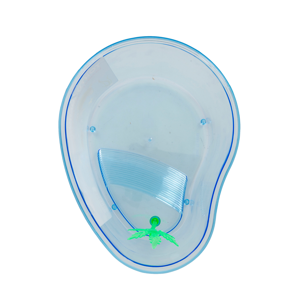 [P5364] TORTUGUERO MEDIANO